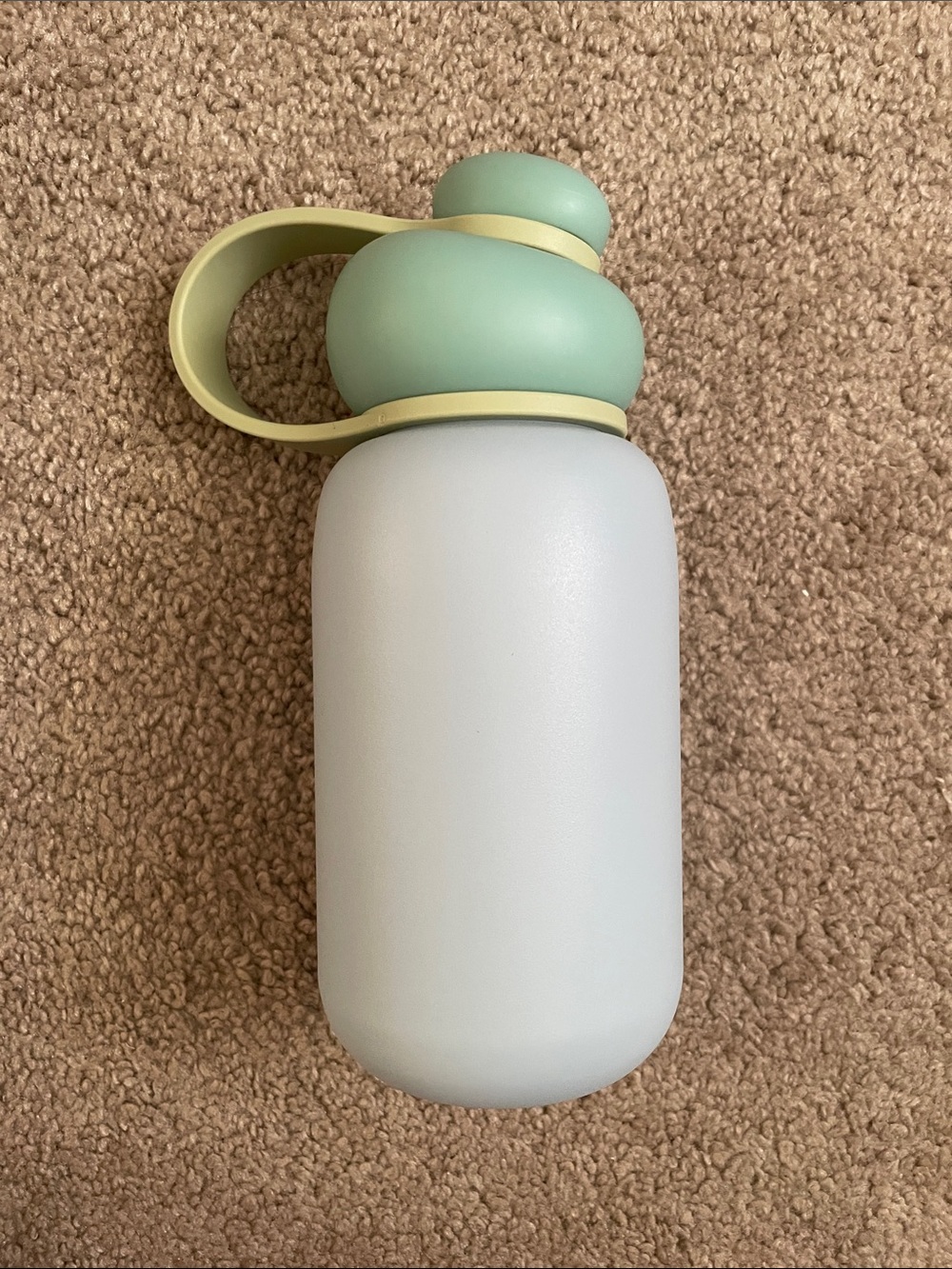 Sunnies Flask Matte White & Sage Green Water Bottle with Easy-Carry Handle